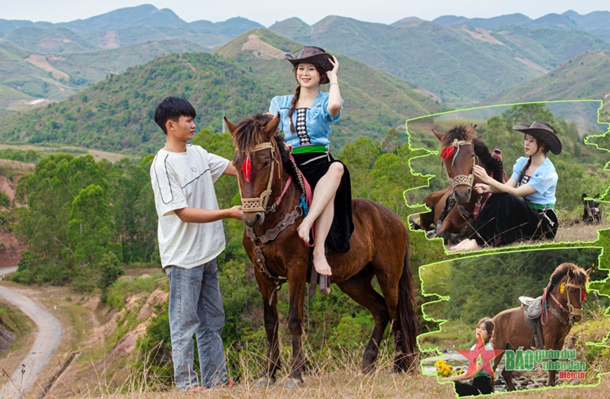 Chuyện nuôi ngựa ở vùng cao Tây Bắc có gì đặc sắc?